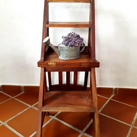 Apartamento Lavanda Apartamento
