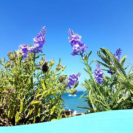 Apartamento Lavanda Apartamento *
